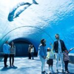 GWに絶対に行きたい!関東のおすすめ観光スポット特集!