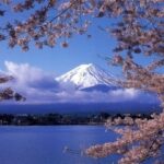 東北・甲信越へ桜前線を追いかけよう!今週末のおすすめ花見スポット