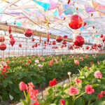 2025年のGWに絶対行きたい、おすすめ人気観光スポット!