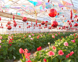 2025年のGWに絶対行きたい、おすすめ人気観光スポット！