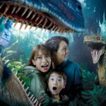 2025年GW　関西エリアおでかけ情報：USJの魅力を満喫しよう！