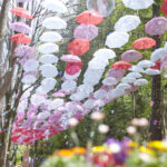 2025年ムーミンバレーパーク: 次世代のムーミン体験を探る