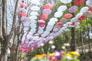 2025年ムーミンバレーパーク: 次世代のムーミン体験を探る