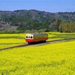 日帰りでも楽しめる!小湊鉄道で味わう千葉の春の魅力