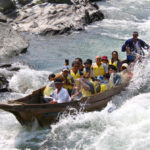 秩父周辺で楽しむおでかけガイド:人気スポットといちご狩り特集