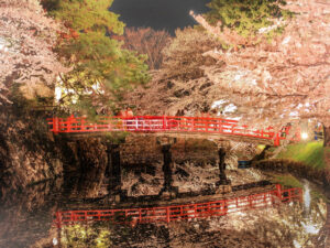 お花見スポット2025：夜桜ライトアップで楽しむ春の花見デート