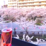 一人で良い、一人が良い「気ままに・気楽に」楽しむソロ花見のススメ