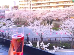 一人で良い、一人が良い「気ままに・気楽に」楽しむソロ花見のススメ