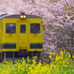 いすみ鉄道で行く、のんびり日帰り一人旅の新しい風景!