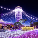 湘南の宝石シーキャンドル、実は設計図なし?!のイルミネーションの舞台裏