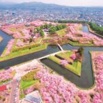 全国の美しいお花畑　フォトジェニックな絶景スポットを訪れよう！