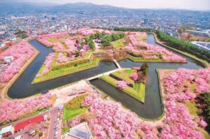 全国の美しいお花畑　フォトジェニックな絶景スポットを訪れよう！