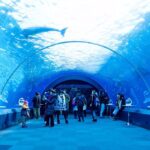 【速報】GW関東のおでかけスポット！思い切り遊び尽くそうｗｗ