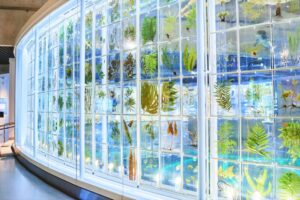 【子連れ必見】子どもが大喜び!GWのお出かけ人気スポット特集ww