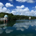 【朗報】混雑回避！東京で発見した自然を満喫できるスポット5選