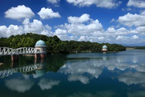 【朗報】混雑回避！東京で発見した自然を満喫できるスポット5選