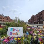 【無料配布】横浜赤レンガ倉庫「フラワーガーデン」使用した花を無料配布！