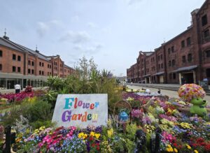 【無料配布】横浜赤レンガ倉庫「フラワーガーデン」使用した花を無料配布！