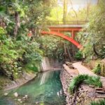 大人の楽しみ方「日帰りウォーキング」電車で30分の癒し旅へGO!