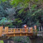 ここ23区内？「等々力渓谷」は遊歩道閉鎖中でも全然楽しかった！