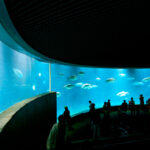 子どもは無料？沢山あります！ゴールデンウイークの楽しみ方ガイド