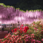 花の写真スポット！関東のお花畑でインスタ映え狙ってみたｗｗｗ