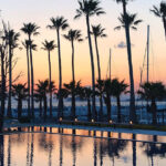 【逗子マリーナ】GWは「逗子蚤の市」で素敵な海辺の休日体験を！