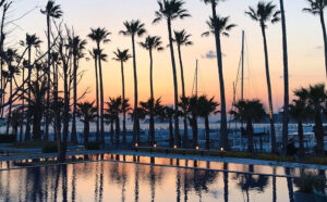 【逗子マリーナ】GWは「逗子蚤の市」で素敵な海辺の休日体験を！