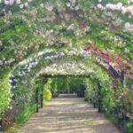 【お花畑】今が旬！春の訪れを感じる関東の人気スポット特集