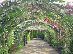 【お花畑】今が旬！春の訪れを感じる関東の人気スポット特集