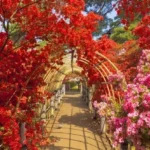 【悲報】群馬のGW、遊びすぎ注意！おすすめイベントがヤバい件