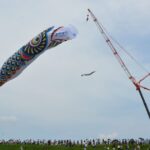 埼玉加須に100mこいのぼり出現!クレーンで釣ったみたいやんww