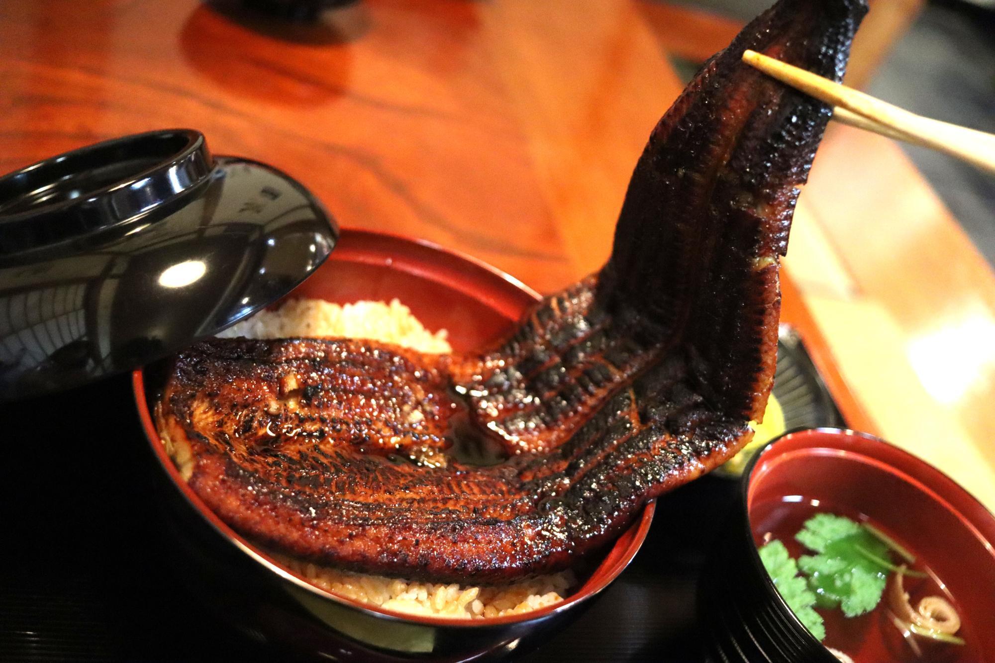 沼津市の驚愕!まるごと一匹うなぎ丼が期間限定価格で登場!