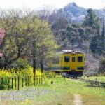 【朗報】いすみ鉄道で行く、心癒やされる里山の日帰り一人旅！