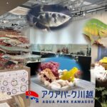 川越駅から徒歩5分!新感覚水族館「アクアパーク川越」の魅力
