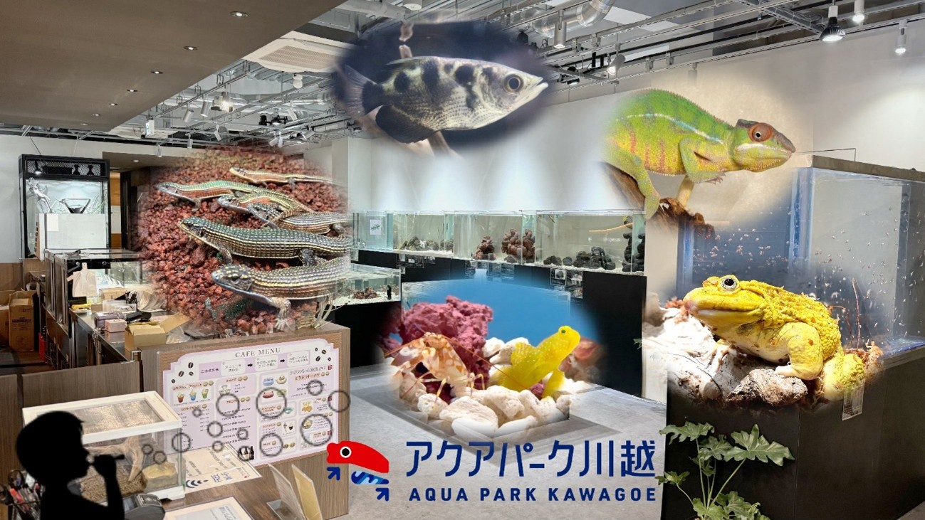 川越駅から徒歩5分!新感覚水族館「アクアパーク川越」の魅力