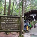 国の天然記念物「富士の樹海」静寂で幻想的な世界を楽しもう!