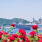 横須賀「ヴェルニー公園春バラ祭」限定フォトスポットも誕生！