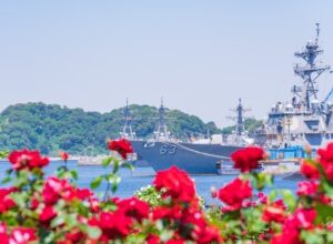 横須賀「ヴェルニー公園春バラ祭」限定フォトスポットも誕生！