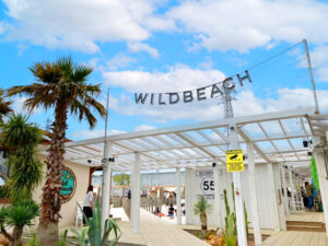 座間に大型スーパー隣接のBBQリゾート！今年も期間限定オープン！