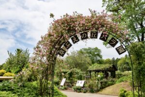 佐倉市「ローズフェスティバル」バラの香りで至福のひととき