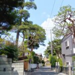埼玉の大宮に、町中が盆栽に溢れる「盆栽村」が存在した!www