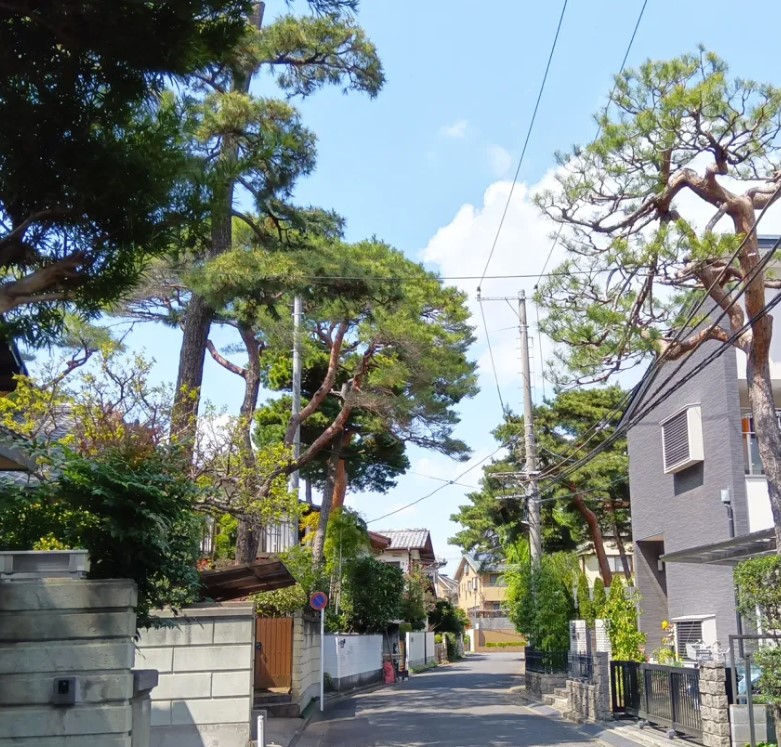 埼玉の大宮に、町中が盆栽に溢れる「盆栽村」が存在した!www
