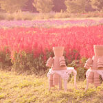 ポピー満開！「大宮花の丘農林公苑」春から初夏の花々が見頃！