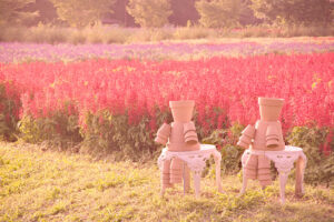 ポピー満開！「大宮花の丘農林公苑」春から初夏の花々が見頃！