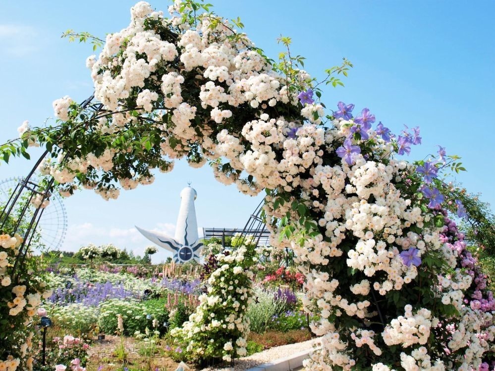 大阪「万博記念公園  春のローズフェスタ」 5月10日より開催！