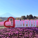 富士・河口湖町が「芝桜まつり」で映え写真の激戦区に!www
