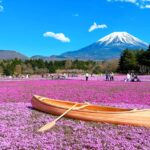 山梨県「富士芝桜まつり」フォトジェニックな世界を体験しよう!