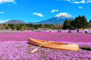 山梨県「富士芝桜まつり」フォトジェニックな世界を体験しよう！