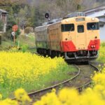 【朗報】首都圏のローカル鉄道で、気軽に日帰り小旅行を楽もう!